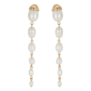 Freshwater Pearl and Gold Drop Earrings on Flat White Background